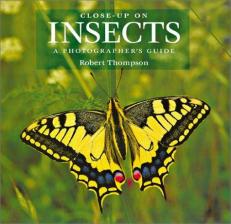 Close-Up on Insects : A Photographer's Guide 