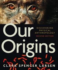 Our Origins : Discovering Physical Anthropology 2nd