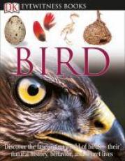 DK Eyewitness Books: Bird : Discover the Fascinating World of Birds--Their Natural History, Behavior, 