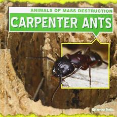 Carpenter Ants 