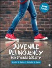 Juvenile Delinquency in a Diverse Society 3rd