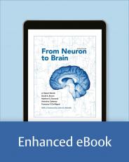 From Neuron to Brain 6th
