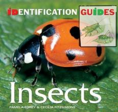 Insects (Natural History) 