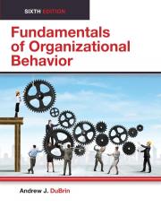 Fundamentals of Organizational Behavior 6th